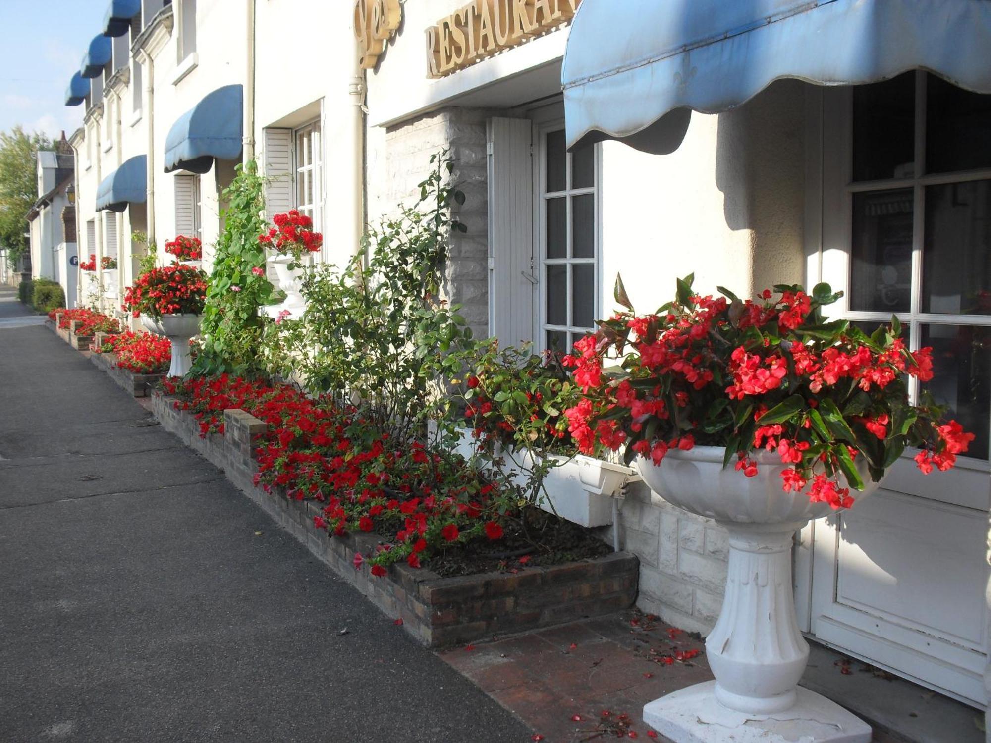 Contact Hotel De France Contres-Beauval-Cheverny Le Controis-en-Sologne 외부 사진